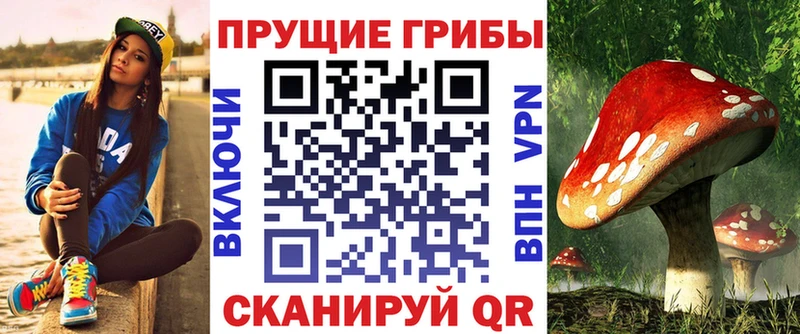 Псилоцибиновые грибы Psilocybine cubensis  Высоковск 